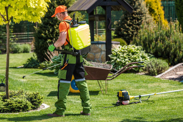 Best Lawn Pest Control  in New York Mills, NY